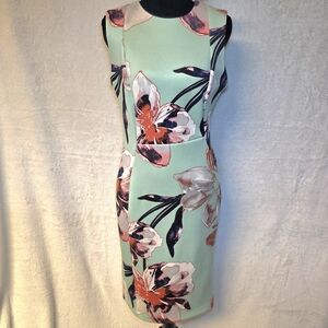 New Calvin Klein Floral Sleeveless Formfitting Maxi Dress - Mint Green and Pink